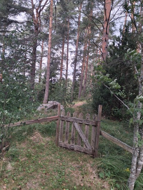 5.portti